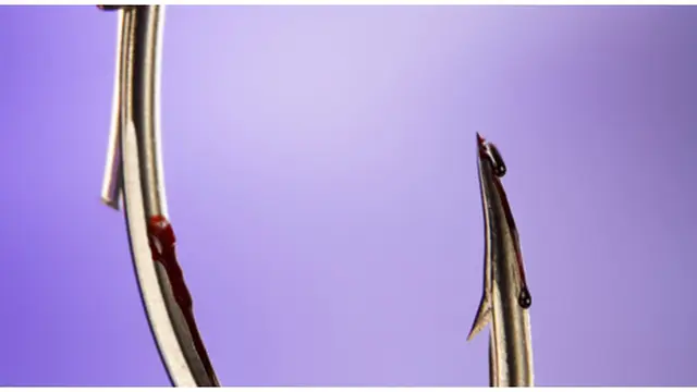 Foto: copyright listverse.com