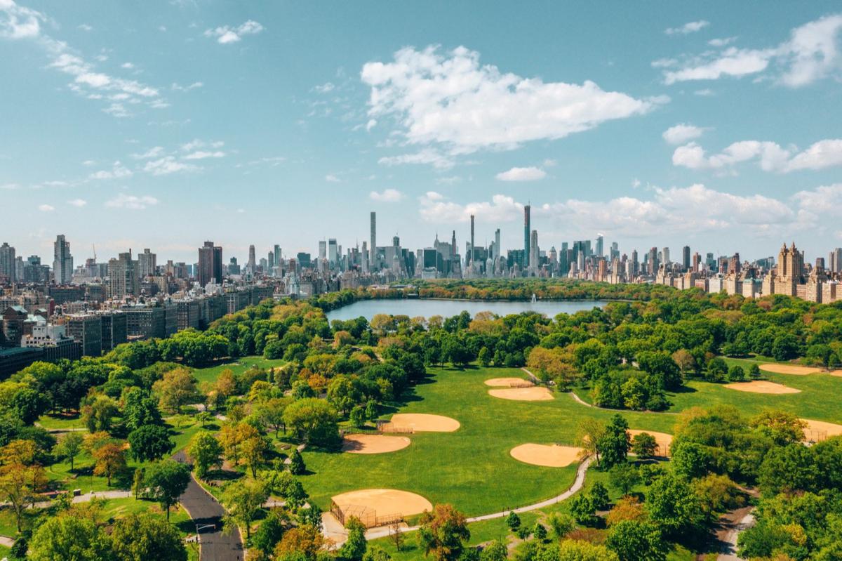 Ilustrasi Central Park New York