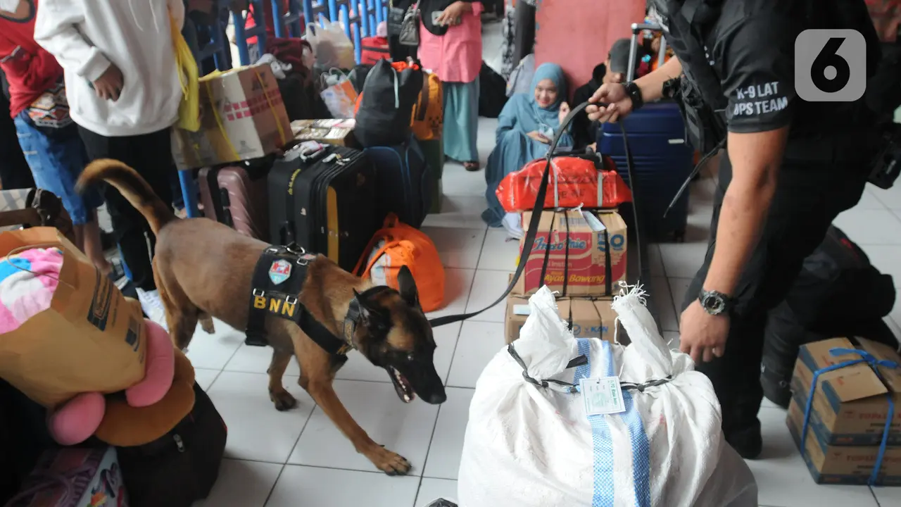Anjing Pelacak Dikerahkan Amankan Mudik Lebaran 2022 di Terminal Kampung Rambutan