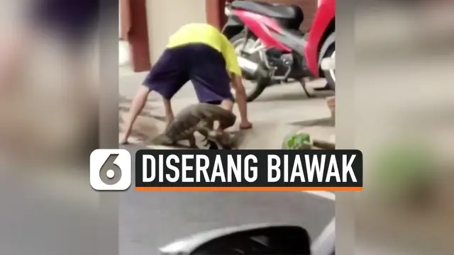 VIDEO: Biawak Liar Berkeliaran Hingga Menyerang Warga di Thailand