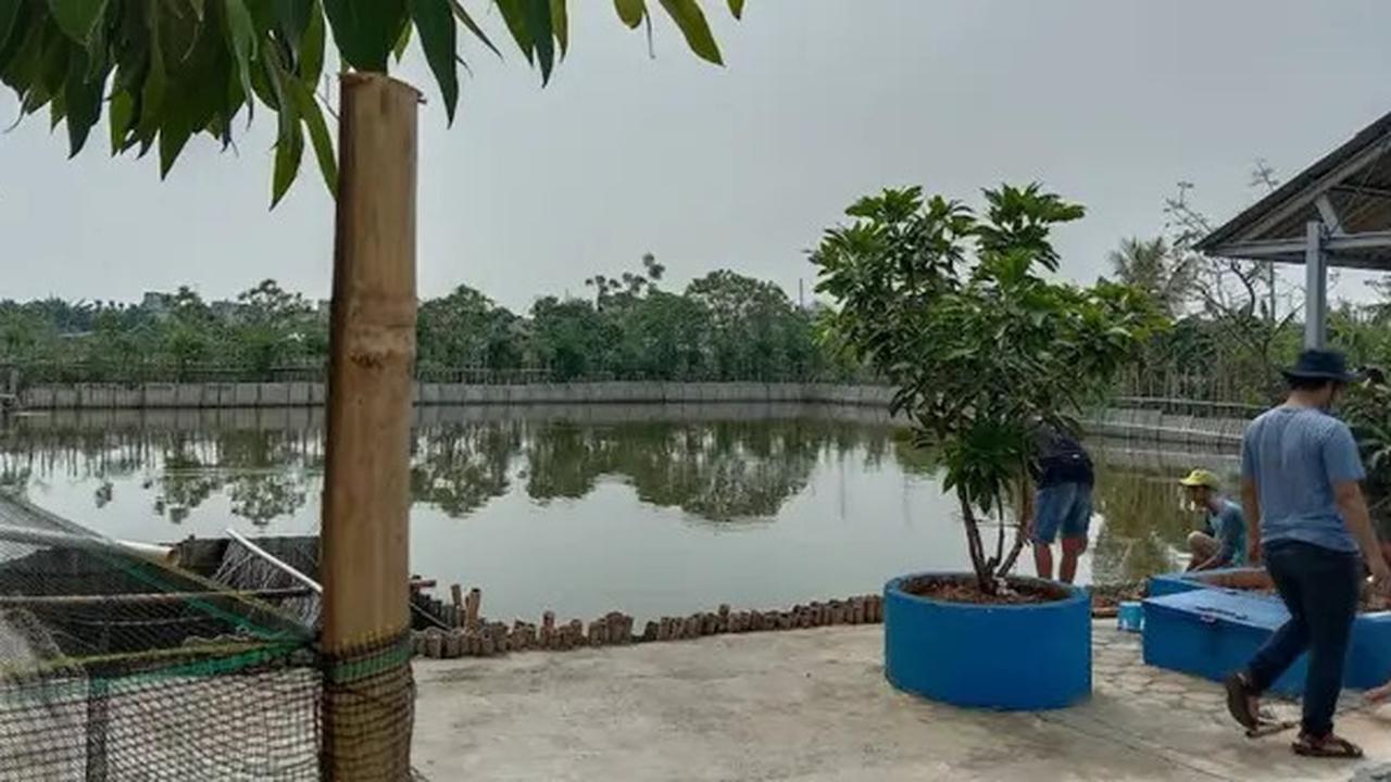 7 Rekomendasi Spot Mancing Nyaman 2025 di Jakarta Utara, Cocok untuk Habiskan Waktu Liburan