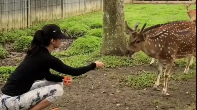 Kini Jadi Staf Khusus Menkomdigi, Keluarga Raline Shah Punya Museum dan Mini Zoo di Medan.  foto: Instagram @ralineshah