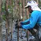 Penjaga kawasan melakukan penanaman Mangrove di area kawasan Eco Marine Mangrove Muara Angke Jakarta, kamis (7/12/2023). Sebanyak 5000 pohon mangrove ditanami guna untuk mengurangi lahan abrasi laut. (merdeka.com/Imam Buhori)