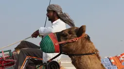 Balap unta biasanya merupakan salah satu hobi dari Qatari atau warga asli Qatar. (Bola.com/Ade Yusuf Satria)