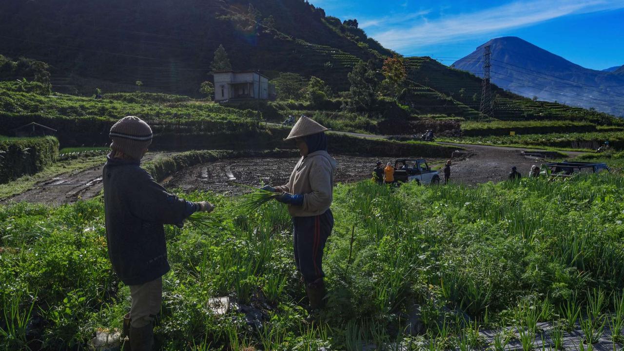 Indahnya Desa Wisata Sembungan yang dijuluku Swiss van Java