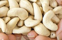 Kacang Mede Kolesterol, Berikut Fakta, Manfaat, dan Cara Konsumsi yang Tepat