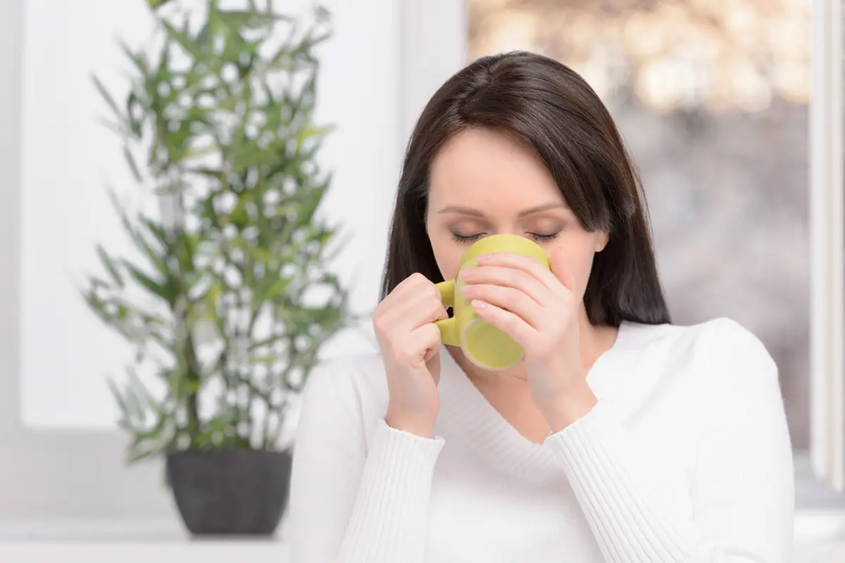 ilustrasi manfaat daun meniran yang bisa dijadikan obat herbal/BlueSkyImage/shutterstock