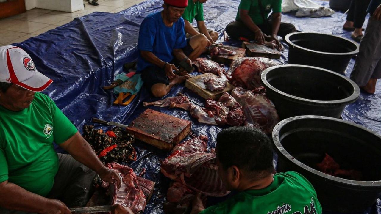 Setelah proses penyembelihan selesai, daging kurban kemudian dipotong-potong dan dikemas untuk didistribusikan kepada warga yang berhak menerimanya. Foto: Liputan6.com / Angga Yuniar<br>