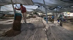 Para arkeolog dan pekerja menggali situs penggalian di mana telur ayam berusia 1.000 tahun ditemukan di Kota Yavne, Israel, Rabu (9/6/2021). Telur ayam tersebut ditemukan di tengah-tengah kotoran manusia. (Emmanuel DUNAND/AFP)