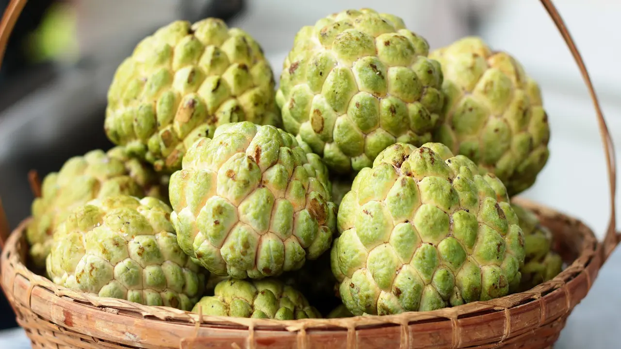 buah srikaya