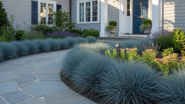 Blue Fescue