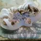 Ubur-ubur Upside Down Jellyfish