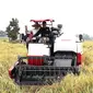 Panen dilakukan menggunakan Combine Harvester dilakukan langsung Bupati OKU Timur HM Kholid Mawardi.