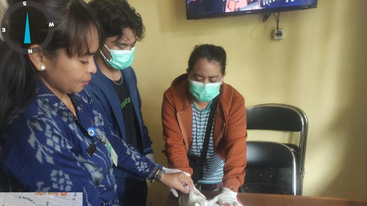 Anjing Positif Rabies Serang Acara Hajatan di Jembrana, Gigit Dua Balita