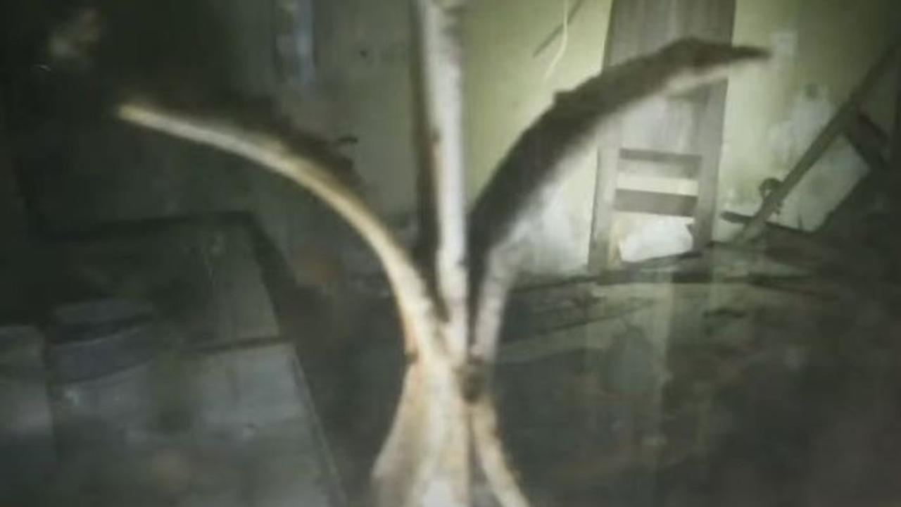 Belakang Rumah Ada Kamar Pembantu