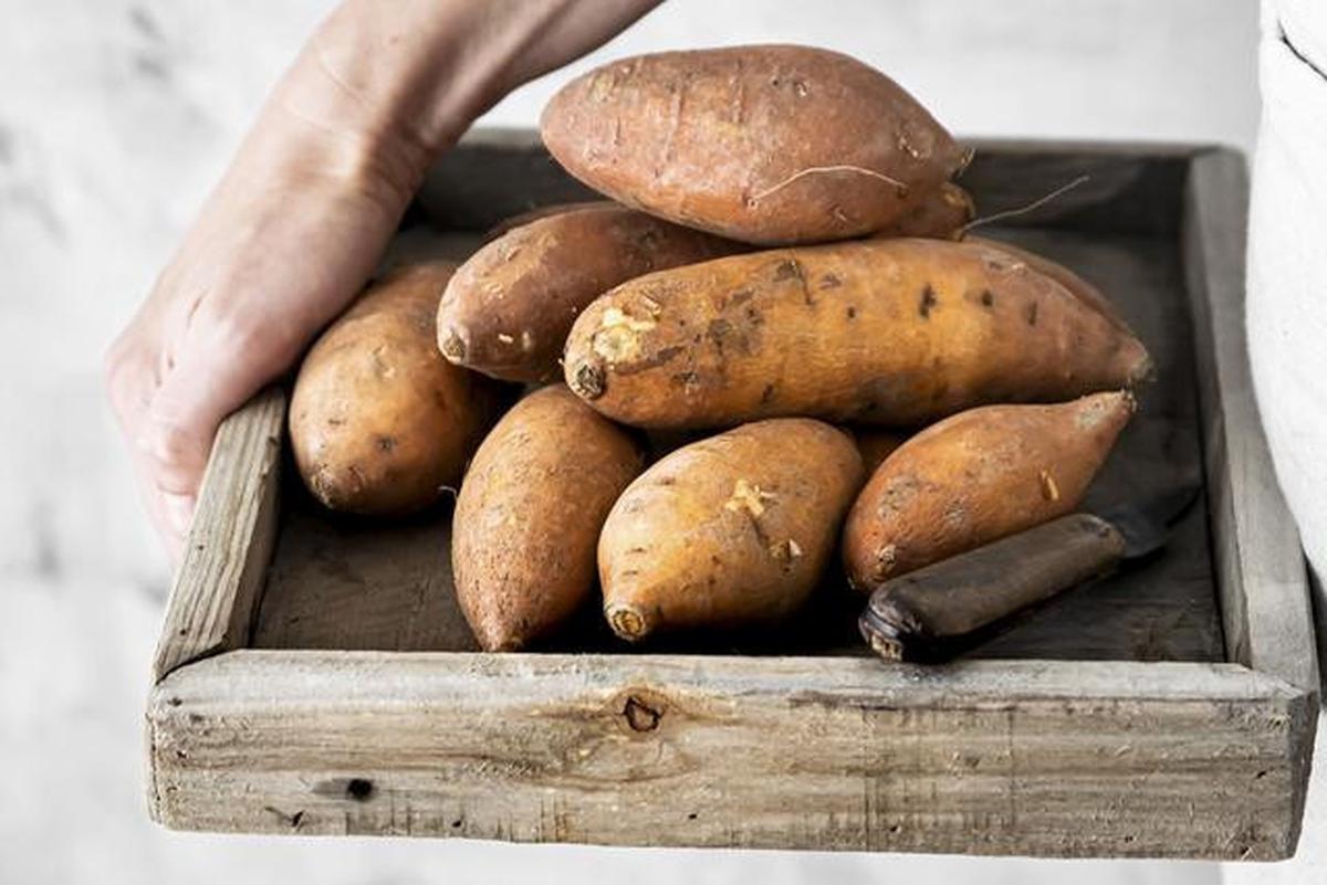 7 Sayuran yang Bisa Ditanam dari Sisa Dapur, Tanpa Perlu Halaman Luas