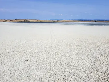 Danau Picrolimni yang mengering terlihat dari atas, di desa Mikrokampos, Yunani utara, 19 Agustus 2024. (AP Photo/Giannis Papanikos)
