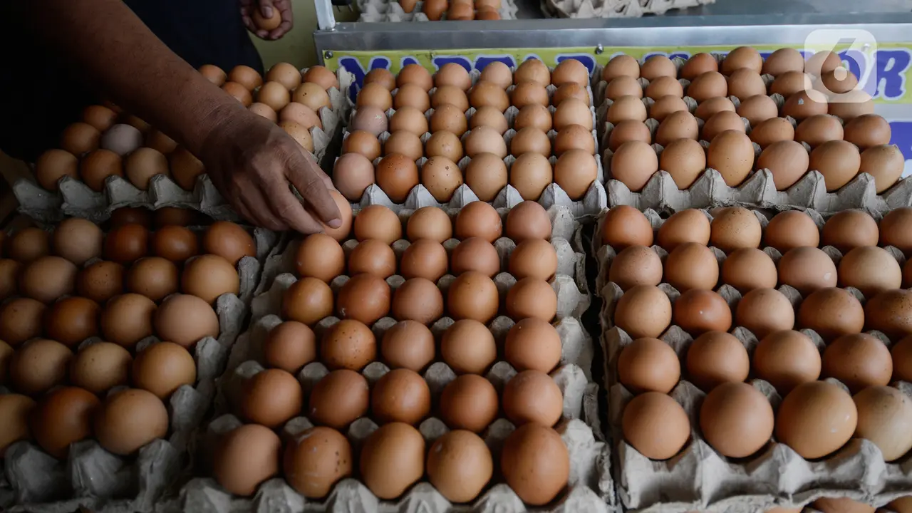 Harga Telur di Libur Panjang