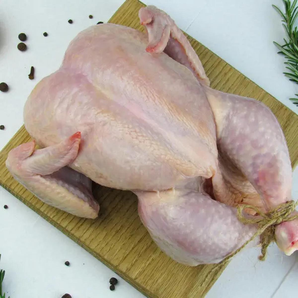 Tata Cara Menyembelih Ayam Sesuai Syariat Islam, Ketahui Syarat dan Rukunnya