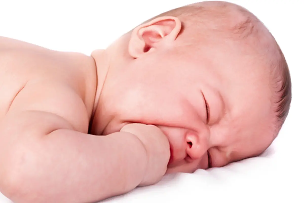 courtesy shutterstock
