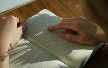 Lawan Kata Fakta dan Ciri-Cirinya, Penting Diketahui