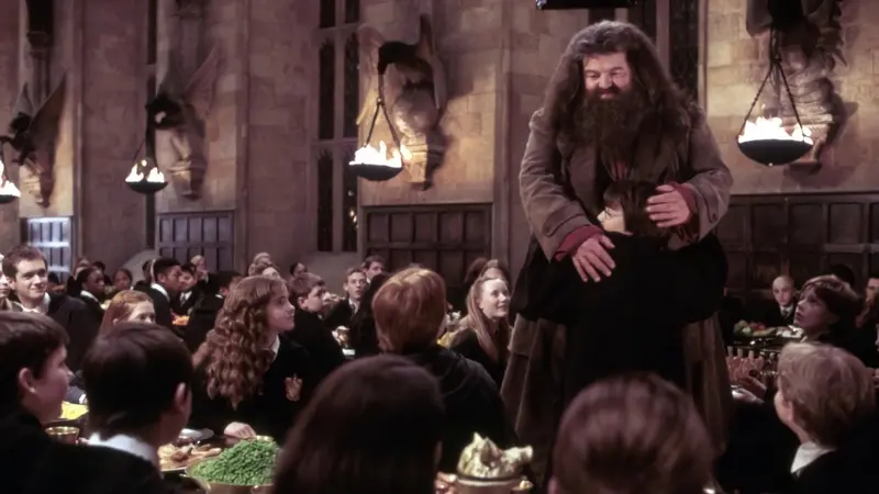 Pemeran Hagrid di seri fim Harry Potter, Robbie Coltrane  (Foto: IMDb)