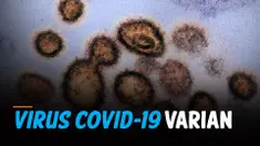 varian Delta thumbnail