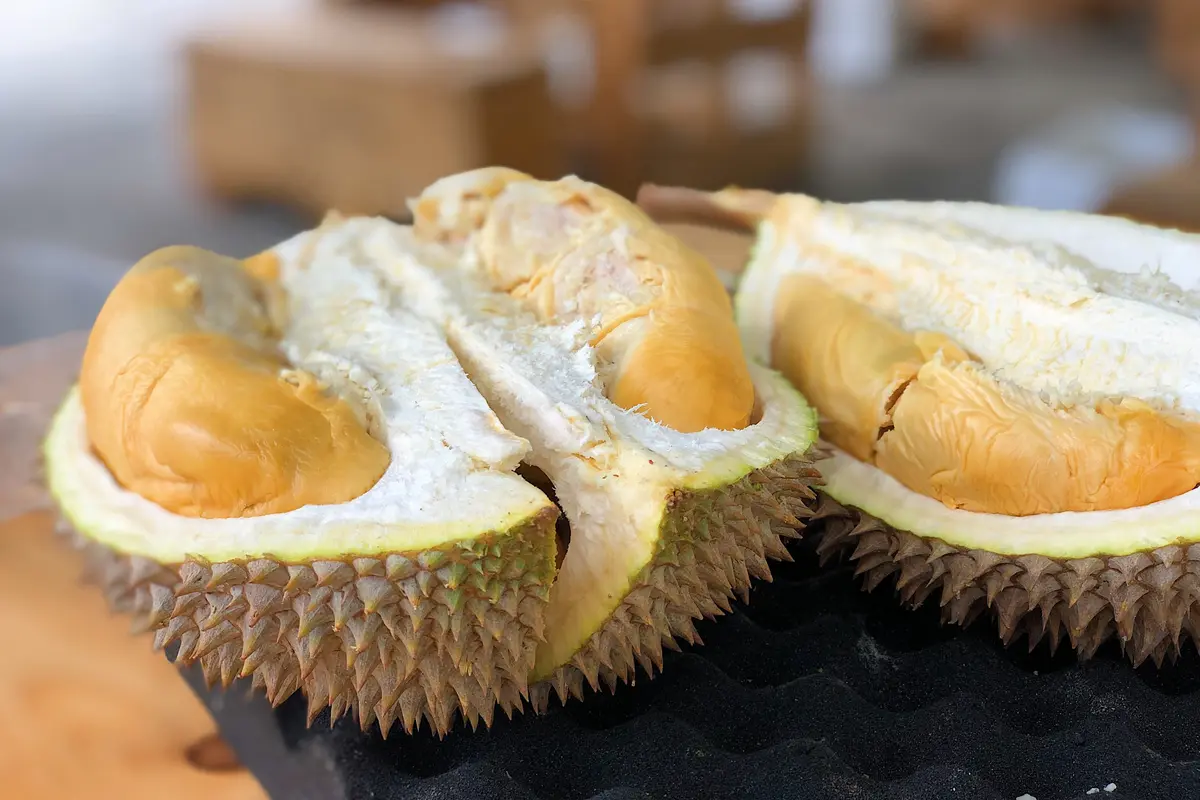 Thailand Temukan Varietas Durian Baru yang Tidak Berbau Menyengat