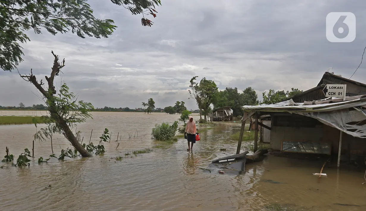 Seorang perempuan melewati banjir yang merendam Desa Karangligar, Kecamatan Telukjambe Barat, Karawang, Jawa Barat, Kamis (10/2/2021). Banjir di Desa Karangligar akibat meluapnya sungai Citarum dan Cibeet membuat ratusan rumah terendam banjir dan ratusan hektar sawah. (Liputan6.com/Herman Zakharia)