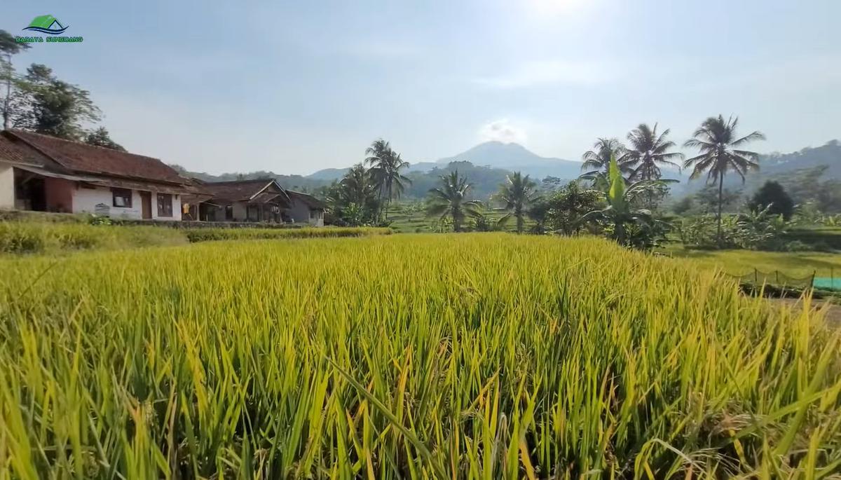 Kampung Ciereng Sumedang