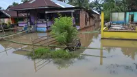 Banjir di Bengkulu akibatkan warga terserang disre dan gatal-gatal (Foto: Yuliardi Hardjo Putra/Liputan6.com)