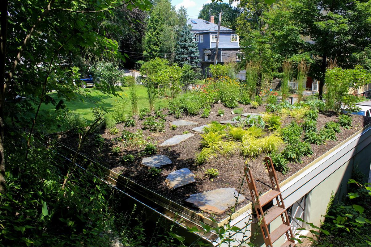 Carport Roof Garden