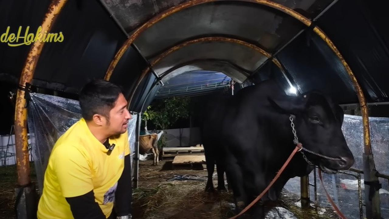 6 Sapi Kurban Irfan Hakim, Selain Janoko Siapa yang Bikin Kamu Nangis Brutal?