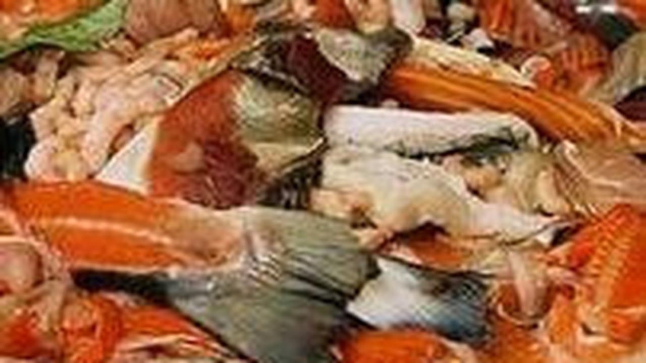 Indonesia Jadi Penyumbang Sampah Makanan Terbesar se-ASEAN, Kerugian Ekonomi Capai Rp551 T