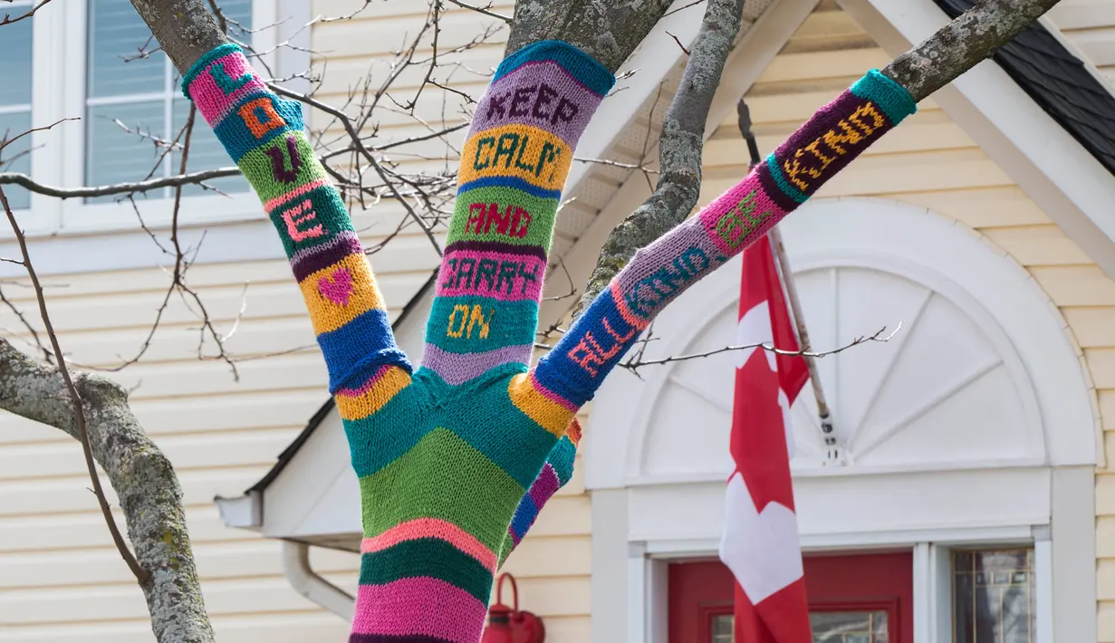 Sebuah pohon yang dibalut rajutan benang bertuliskan ucapan terima kasih untuk menghormati para pekerja garis depan yang tengah berjuang melawan COVID-19 terlihat di Burlington, Ontario, Kanada (19/4/2020). (Xinhua/Zou Zheng)