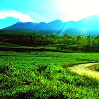 Siapa sangka kalau kota Malang ternyata memiliki beberapa fakta unik dan menarik hingga membuat ingin kembali ke kota ini.