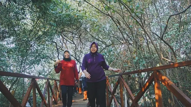 7 Potret Suasana Penanaman Pohon di Kebun Raya Mangrove Pertama di Dunia