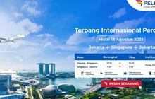 Perluas Layanan ke Pasar Global, Pelita Air akan Buka Rute Internasional Perdana
