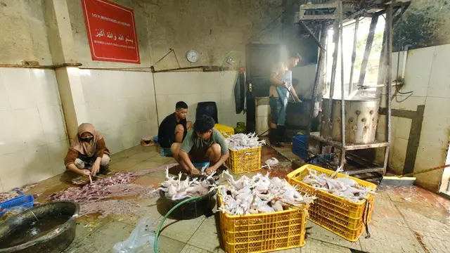 Berkah Dapur MBG mendorong usaha ayam potong di Karanganyar berkembang pesat dengan pasokan hingga 2,3 ton daging segar per hari