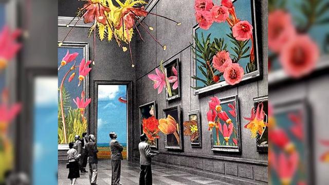 92 Gambar Setan Flores Terbaik