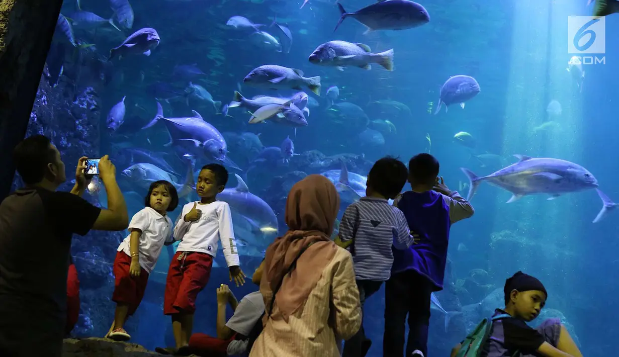 Pengunjung mengambil foto dengan latar belakang aquarium Sea World, Jakarta, Sabtu (16/6). Atraksi bermain bola di dalam aquarium Sea World untuk menyemarakkan ajang Piala Dunia 2018 yang berlangsung di Rusia. (Liputan6.com/Immanuel Antonius)