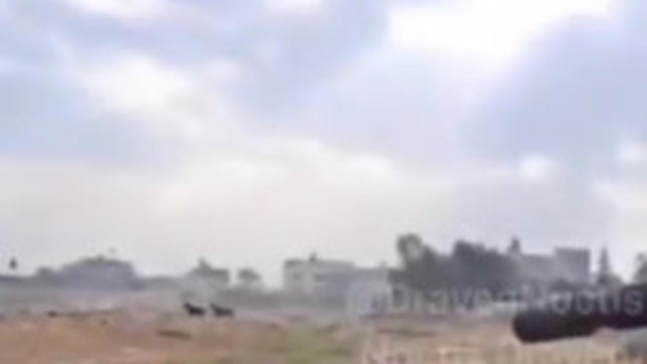 Tak Puas Bantai Manusia, Tentara Israel juga Tembaki Domba Hingga Kuda