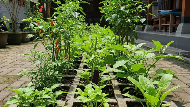 6 Cara Menanam Sayuran di Paving Block, Ide Kreatif Maksimalkan Halaman