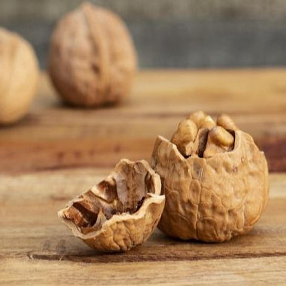 Walnut