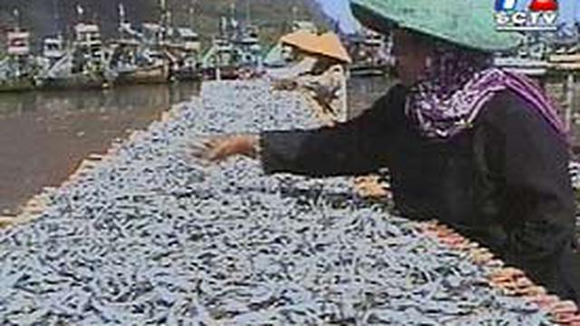 Ombak Besar Melanda Pantai Puger News Liputan6com