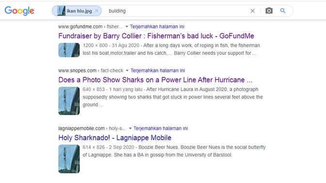 Hasil penelusuran Google Image ikan hiu.