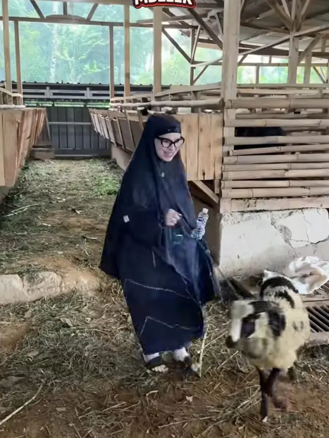 Potret Kandang Kambing Ibu Fadil Jaidi