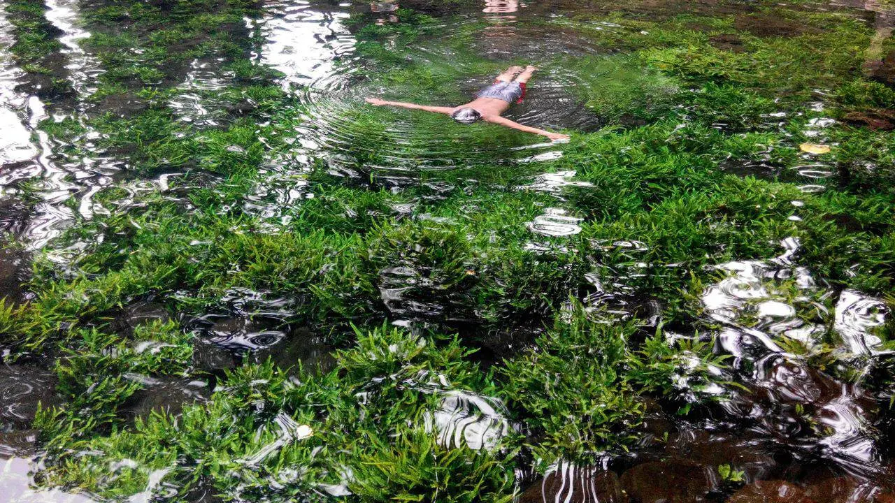 Pemandangan Langka, Air Telaga Sebening Kaca di Jawa Barat