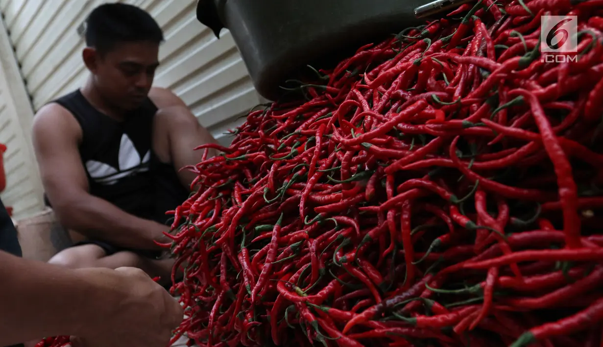 Seorang pedagang memilah cabai di sebuah pasar di Jakarta, Kamis (11/1). Saat ini harga cabai rawit merah naik sebesar Rp 20 ribu hingga Rp 30 ribu per kilogram. (Liputan6.com/Angga Yuniar)