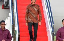 Kunjungi IKN, Jokowi Groundbreaking Bandara dan Infrastruktur Lain